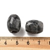 Natural Larvikite European Beads G-F580-A11-01-3