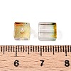 Baking Paint Transparent Glass Beads DGLA-N005-01A-01-4