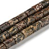 Natural Leopard Skin Jasper Beads Strands G-Q1008-A06-1