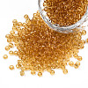8/0 Glass Seed Beads X-SEED-A004-3mm-2-1