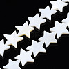 Natural Freshwater Shell Beads Strands X-SHEL-S278-01D-01-1