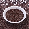 MIYUKI Round Rocailles Beads SEED-G007-RR4520-2