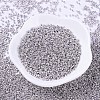 MIYUKI Delica Beads SEED-X0054-DB0429-3
