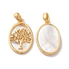 Brass Shell Pendants LS-KK-M243-34G-1