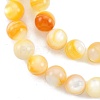 Natural Golden Yellow Shell Beads Strands SSHEL-G024-01E-3