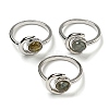 Natural Labradorite Adjustable Rings RJEW-K269-09P-04-1