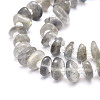 Natural Labradorite Beads Strands G-E569-J08-3