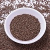 MIYUKI Delica Beads X-SEED-J020-DB0340-2