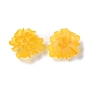 Transparent Resin Cabochons RESI-G027-01C-3