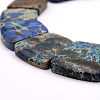 Natural Imperial Jasper Graduated Beads Strands G-P296-A03-4