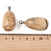 Natural Picture Jasper Tumbled Stone Pendants GG-K002-06F-3