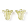 Spray Painted Transparent Glass Beads GLAA-D006-20E-3
