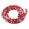 Natural Trochus Shell Beads Strands SHEL-S278-027D-2