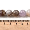 Natural Amethyst Lace Agate Beads Strands G-H312-C01-12mm-5