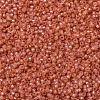 MIYUKI Round Rocailles Beads SEED-G007-RR0553-3