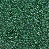MIYUKI Round Rocailles Beads SEED-G007-RR0173-1