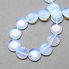 Flat Round Opalite Opal Stone Beads Strands G-S110-14mm-25-2