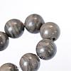Natural Black Wood Lace Stone Round Bead Strands X-G-E334-6mm-03-4
