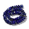 Natural Lapis Lazuli Beads Strands G-D091-A24-3