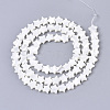 Natural Trochid Shell/Trochus Shell Bead Strands SSHEL-N034-68A-2