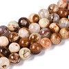 Natural Wood Lace Stone Wooden Jasper Beads Strands G-B128-A04-04-2