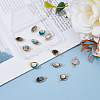 12Pcs 2 Styles Natural Abalone Shell/Paua Shell Copper Wire Wrapped Connector Charms PALLOY-AB00261-4