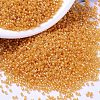 MIYUKI Delica Beads X-SEED-J020-DB2045-1