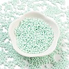 Baking Paint Glass Seed Beads SEED-A033-05R-2