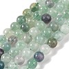 Natural Fluorite Beads Strands X-G-P530-B04-03-1
