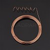 DIY Wire Wrapped Jewelry Kits DIY-BC0011-81D-03-4