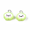 Handmade Polymer Clay Charms CLAY-N006-37B-01I-2