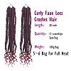 Curly Faux Locs Crochet Hair OHAR-G005-12A-5