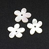 Natural White Shell Beads SSHEL-I008-03-2