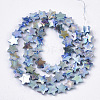 Freshwater Shell Beads Strands X-SHEL-N026-08E-2