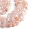 Natural Morganite Beads Strands G-D0002-C47-3
