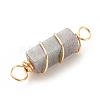 Natural Indian Agate Connector Charms PALLOY-JF01580-02-4