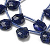 Natural Lapis Lazuli Beads Strands G-P544-C10-01-3