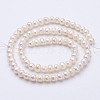 Natural Cultured Freshwater Pearl Beads Strands PEAR-F004-08-01-2