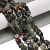 Natural African Bloodstone Beads Strands G-P497-01E-13-2