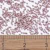 MIYUKI Delica Beads SEED-J020-DB1166-4