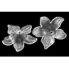 Transparent Acrylic Beads X-PL674Y-2