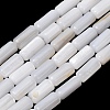 Natural Freshwater Shell Beads Strands SH-CBA2978-21B-1