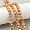 Dyed Natural Dolomite Beads Strands G-D337-8mm-D05-1