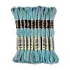 10 Skeins 6-Ply Polyester Embroidery Floss OCOR-K006-A30-1