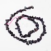 Chips Natural Sugilite Beads Strands X-G-N0164-28-3