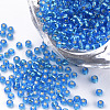 15/0 Silver Lined Glass Seed Beads SEED-Q025-1.5mm-C04-1