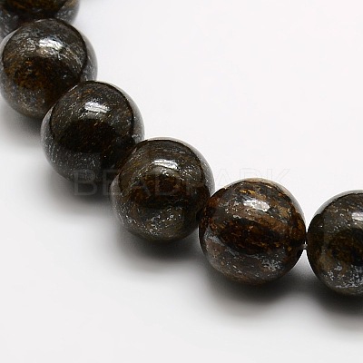 Round Natural Bronzite Beads Strands G-P059A-01-1