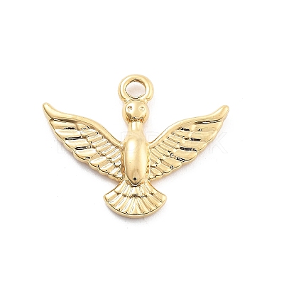 304 Stainless Steel Pendants STAS-R155-043G-01-1