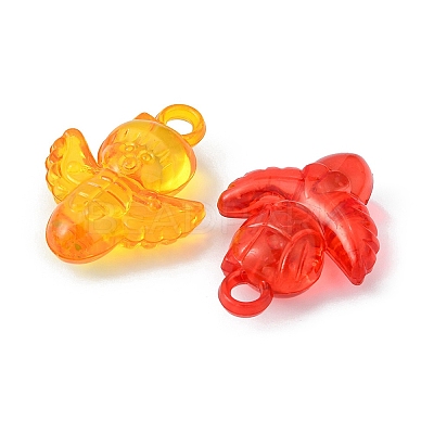 50g Transparent Acrylic Pendants TACR-YW0001-69-1