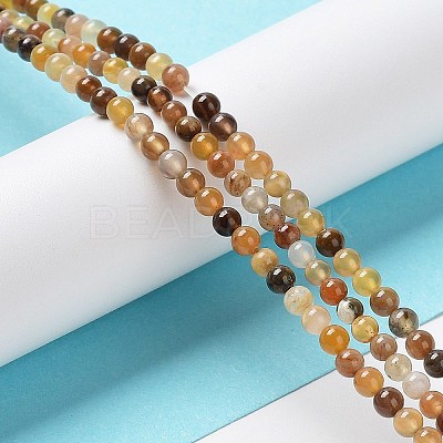 Natural Petrified Wood Round Bead Strands G-P070-69-3mm-1